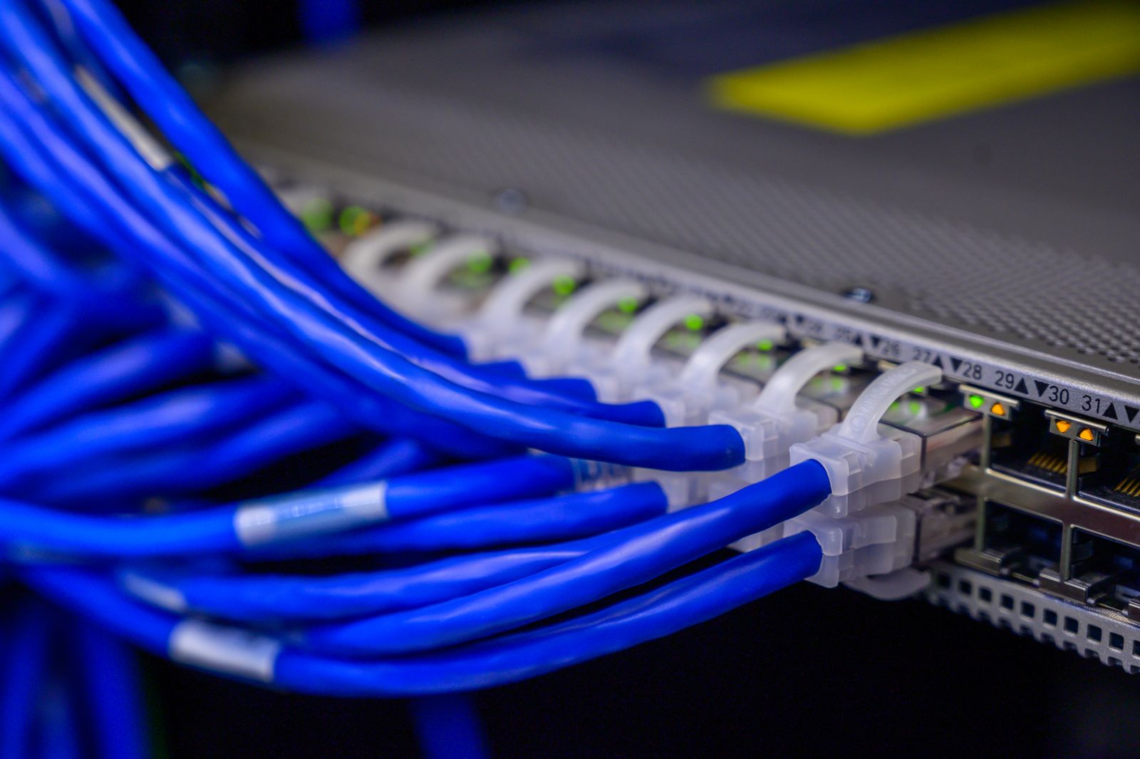 Blue ethernet cables plugged into a network switch